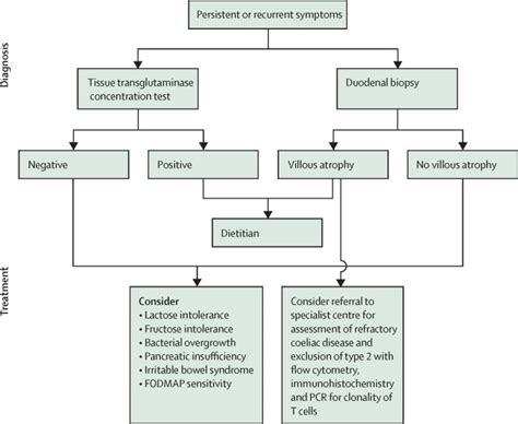 coeliac screen interpretation